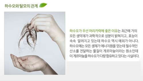 HASUO Herbal Essential Shampoo hair-wash application demonstrates gentle lather for daily use