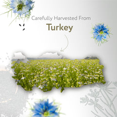 HBNO Organic Black Seed Oil bottle close-up noting Turkey origin