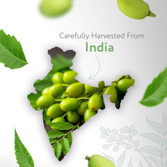 HBNO Organic Neem Oil label close-up confirms organic certification and purity.