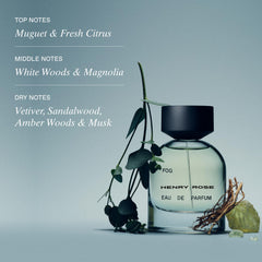 Fog packaging showing sustainable materials and cap
