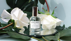 Herb & Root Moonflower spray provides all-day wear with subtle bloom.