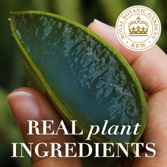 Herbal Essences Bio Renew Argan Oil & Aloe hair oil mist texture close-up shows lightweight hydration