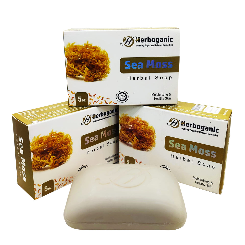 HERBOGANIC Sea Moss Herbal Soap bar close-up with rich lather for hydrating the skin.