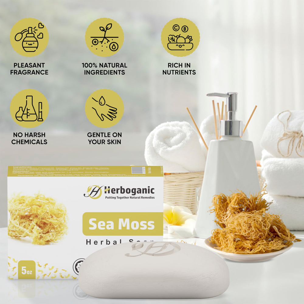 Holding HERBOGANIC Sea Moss Herbal Soap bar for gentle cleansing.