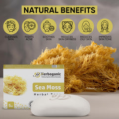 HERBOGANIC Sea Moss Herbal Soap on bathroom shelf suggesting daily nourishing cleanse.