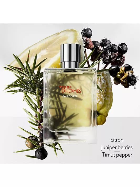Hermès Terre d'Hermès Eau Givrée spray shown for everyday fresh scent and lasting appeal.