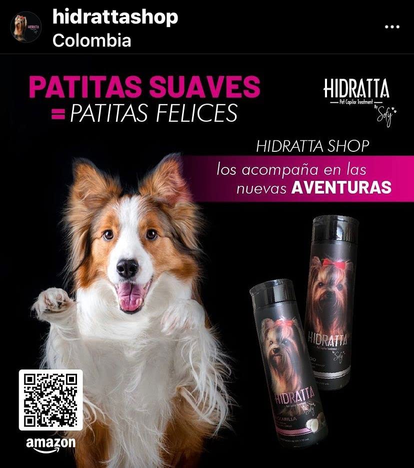 Hidratta close-up highlights glossy fur texture.
