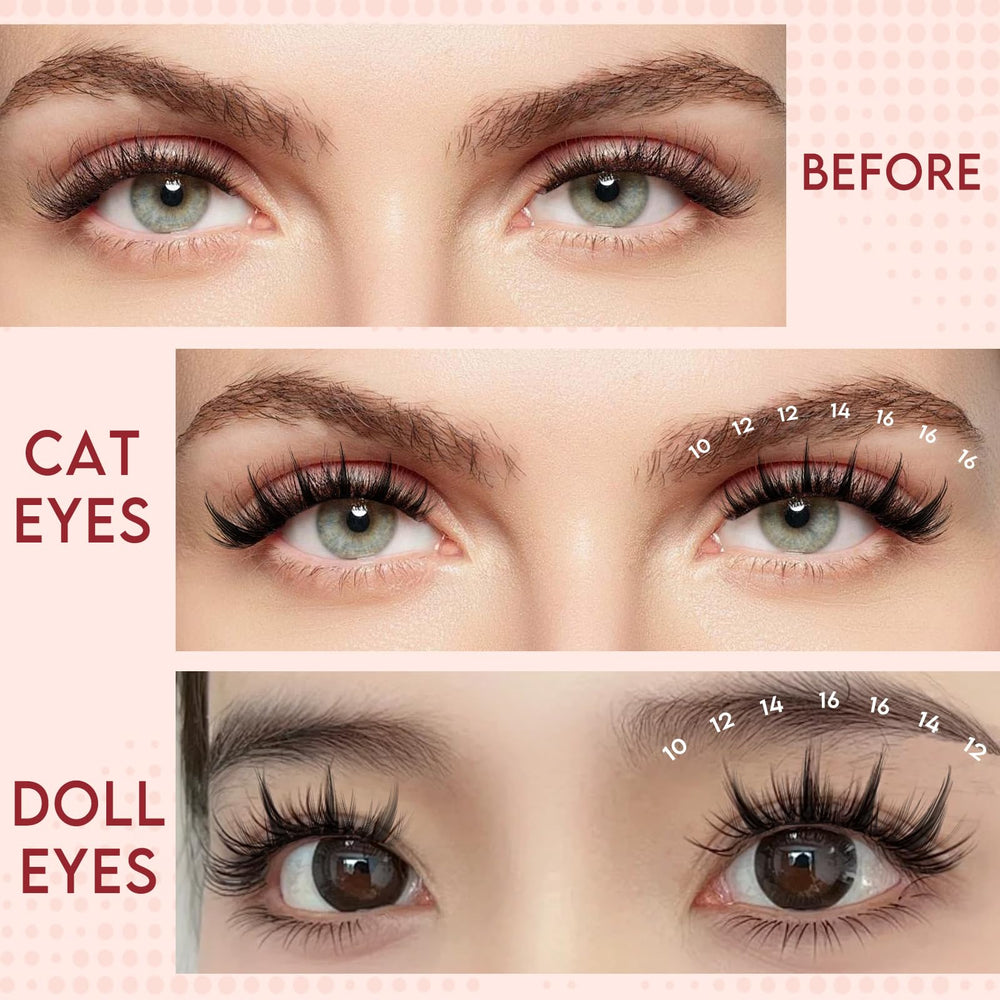Higu clace bond and seal for durable lash adhesion and easy removal.