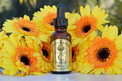 Packaging of Hive and Body Vitamin C Serum on display emphasizes natural sourcing.