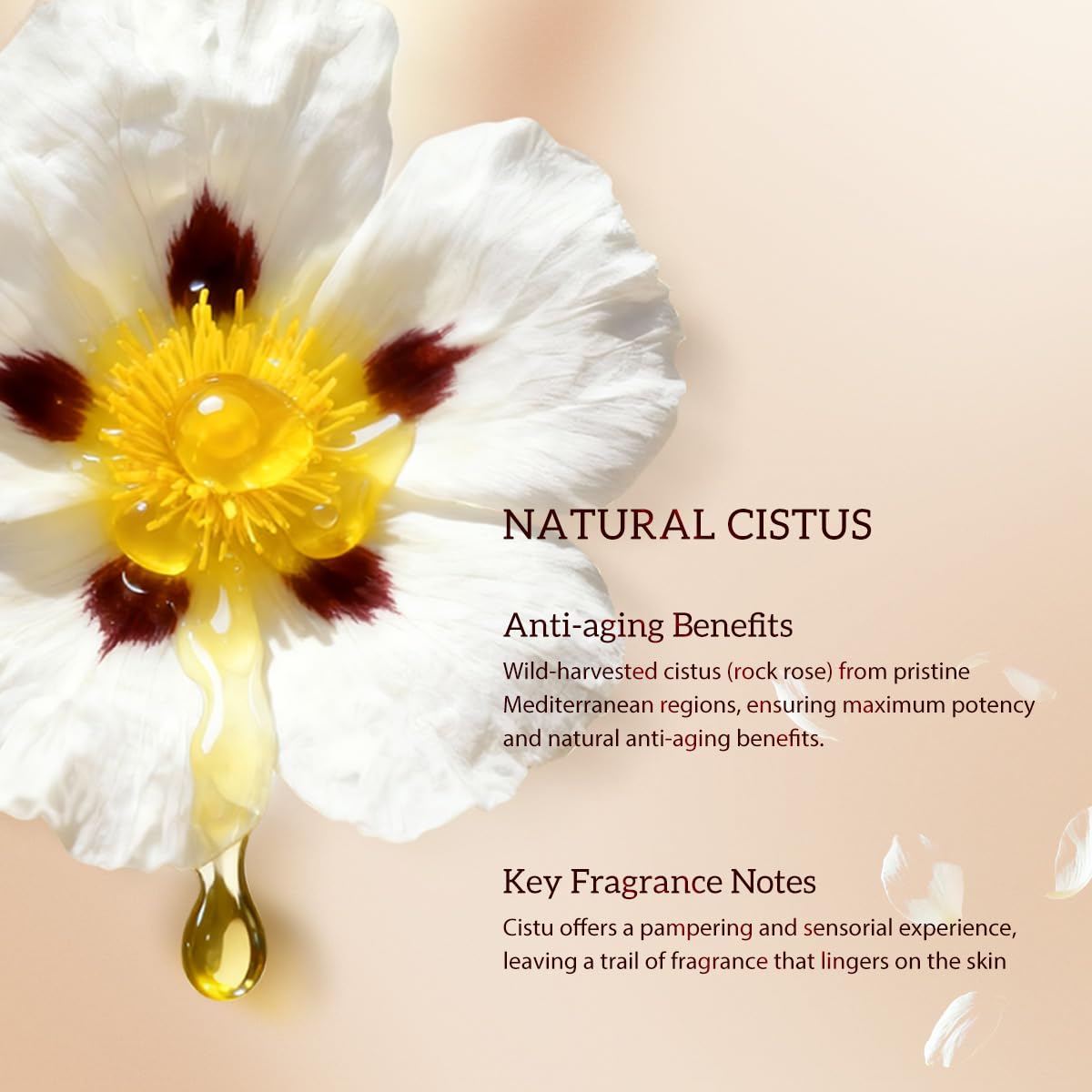 Sensitive skin-friendly formula shown in a soft, soothing setting.