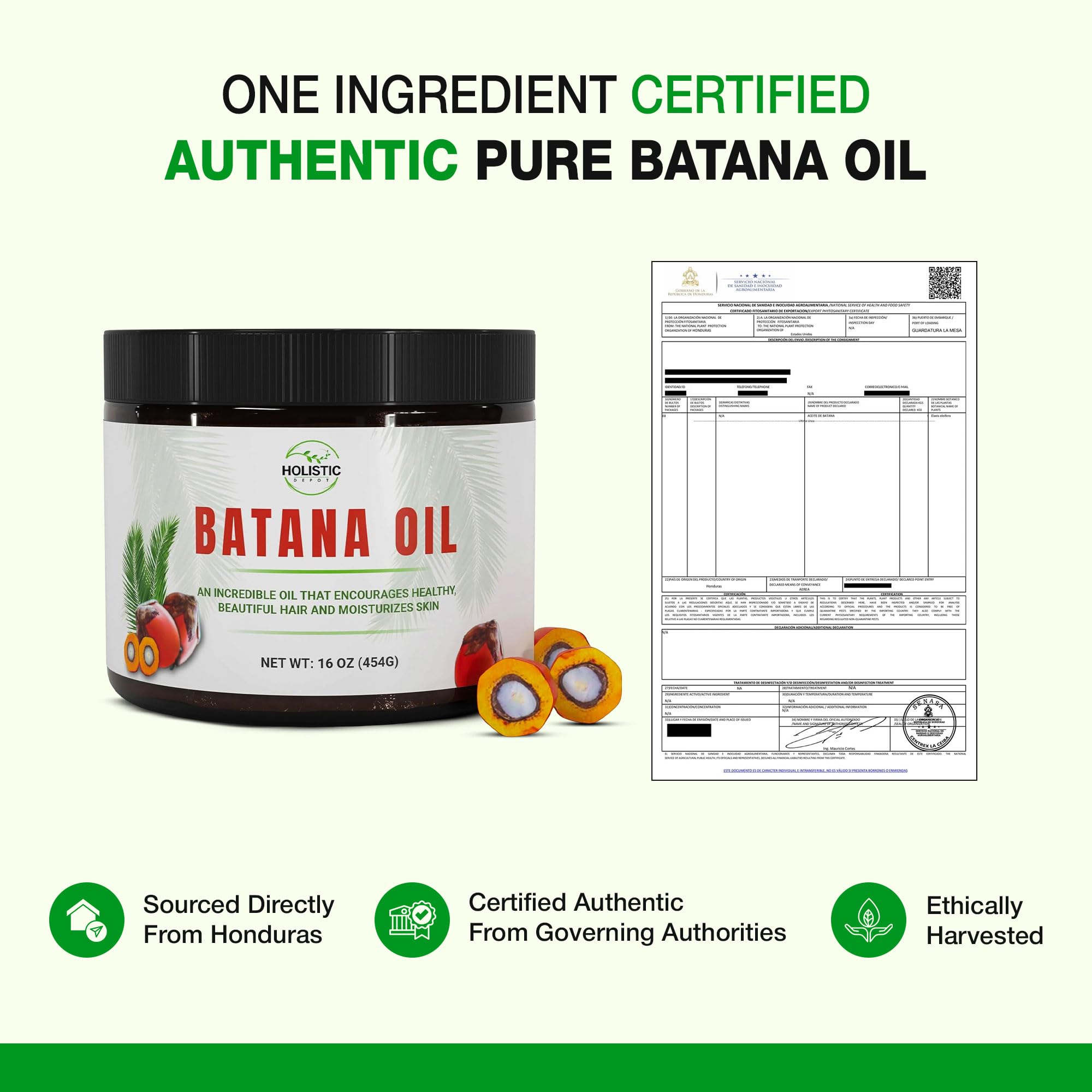 Holistic Depot Batana Oil Honduras origin highlights authentic heritage.
