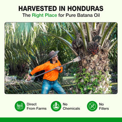 Holistic Depot Batana Oil natural purity supports balanced skin and hair.