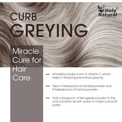 Holy Natural Herbal Hair Pack being applied promises straightforward use for a polished look.