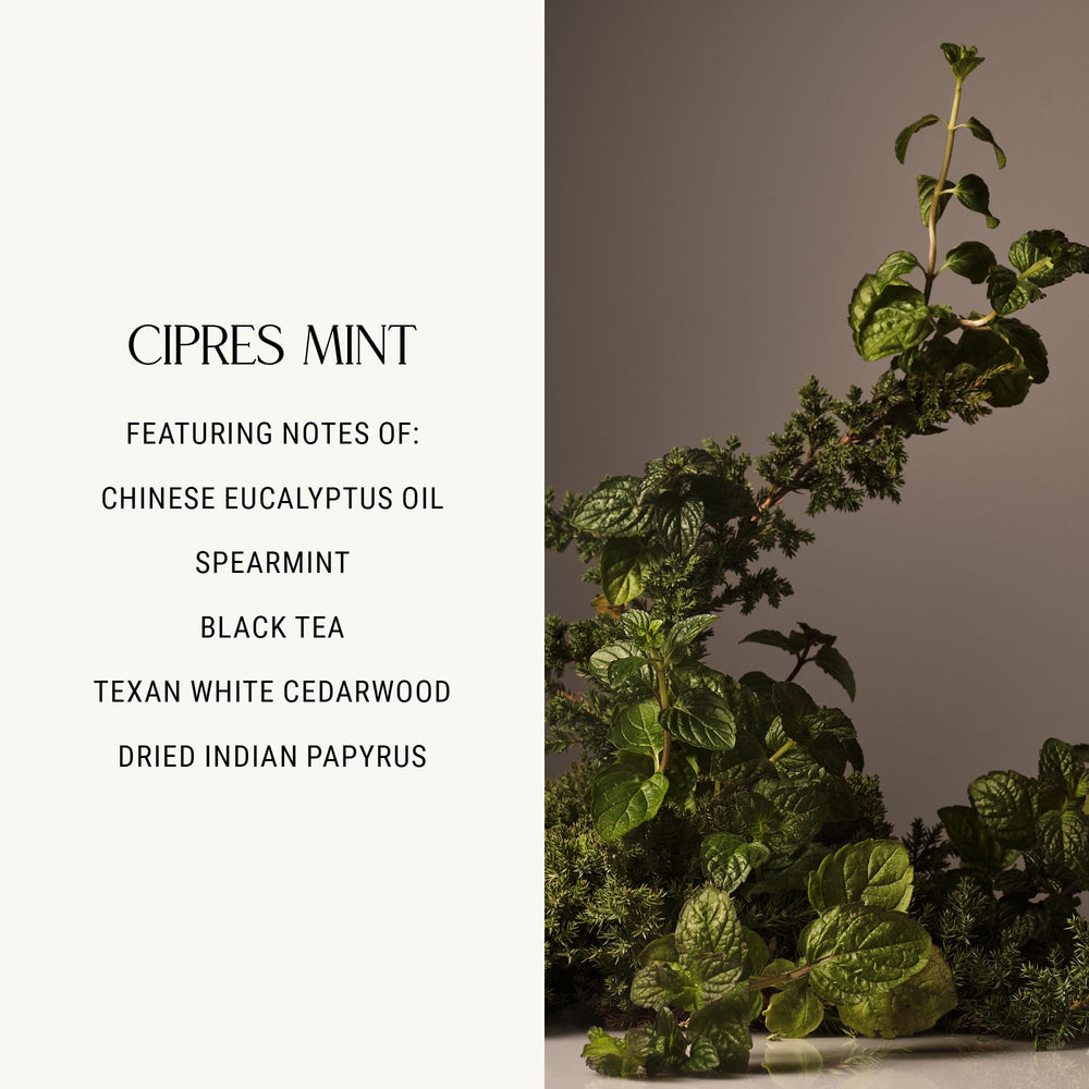 Homecourt Cipres Mint scent evokes spa-like aromatics for refreshing sessions.