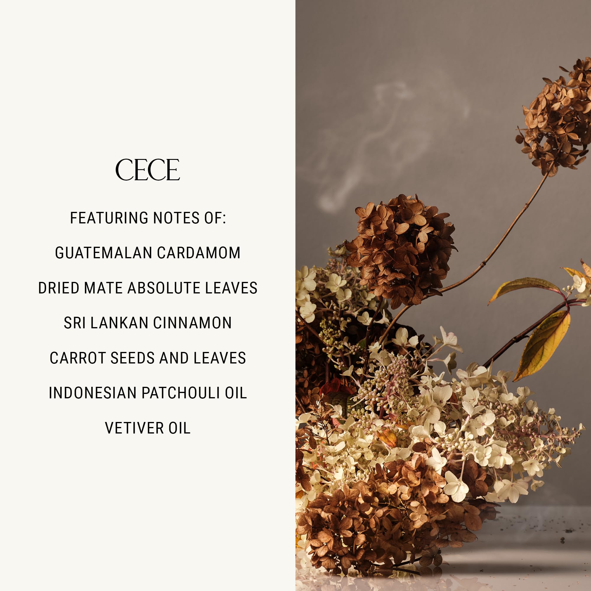 Homecourt Cece hand wash hibiscus extract provides natural conditioning for hands.