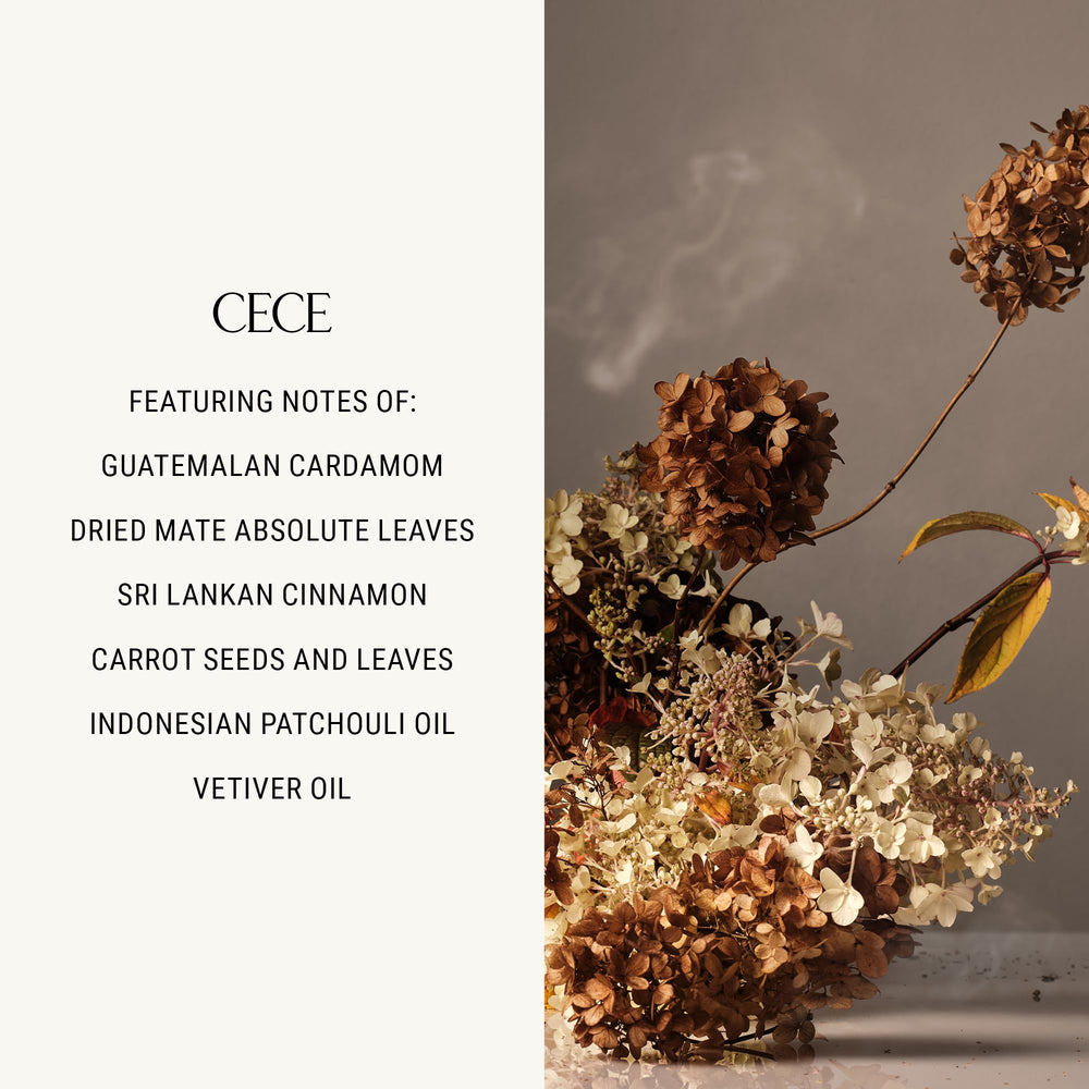 Homecourt Cece hand wash hibiscus extract provides natural conditioning for hands.