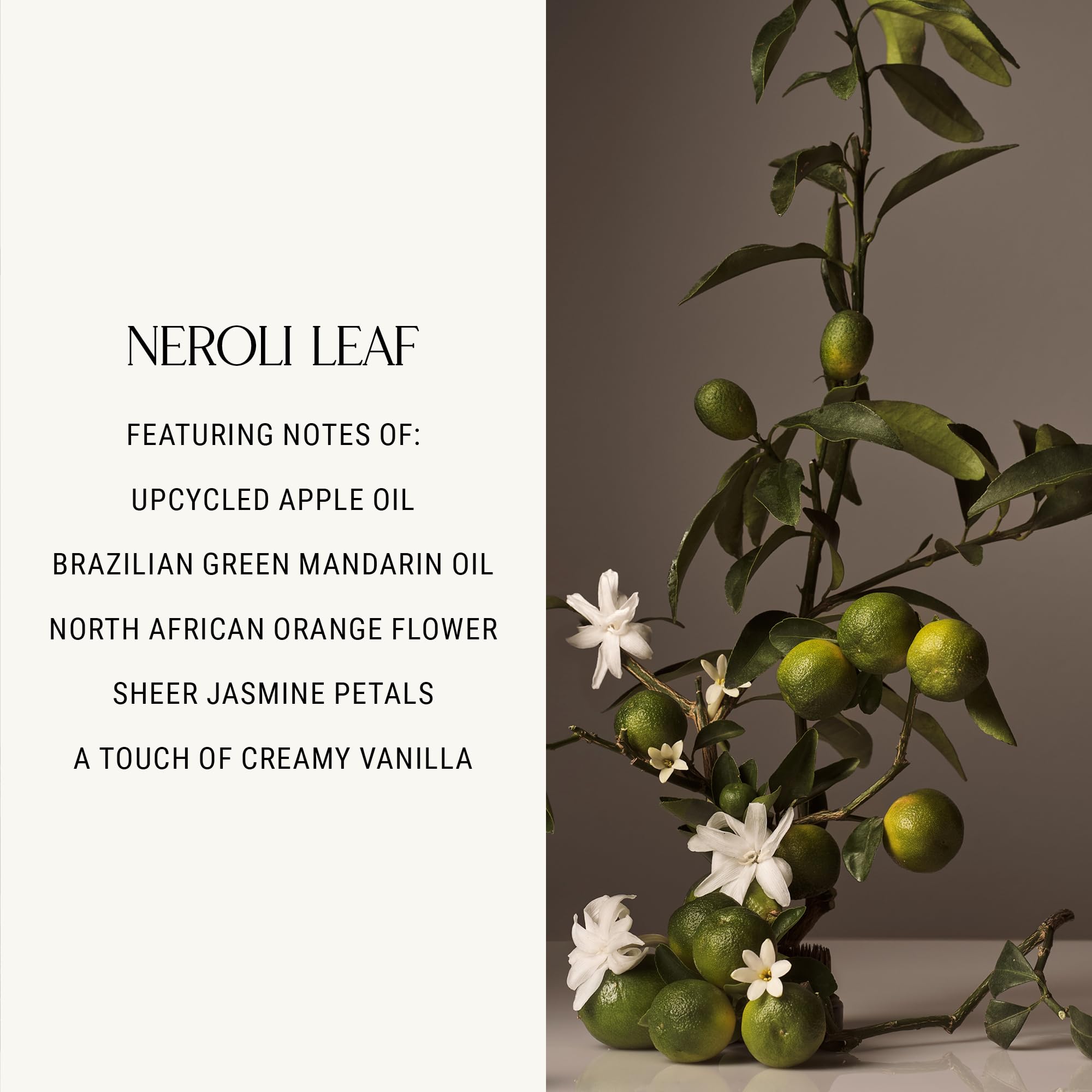 Homecourt Neroli Leaf ingredients list close-up featuring surfactants and botanicals.