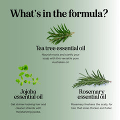 HONEYDEW Jojoba oil blend image spotlights nourishing natural oils