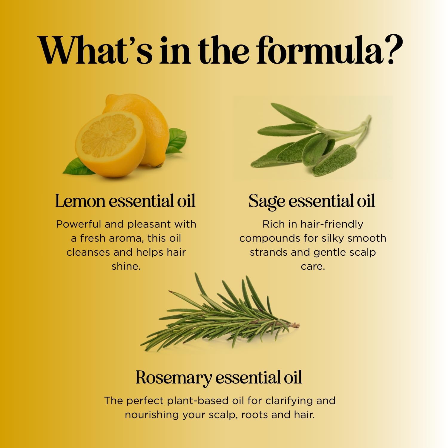 HONEYDEW Lemon Sage Shampoo label closeup highlighting natural ingredients