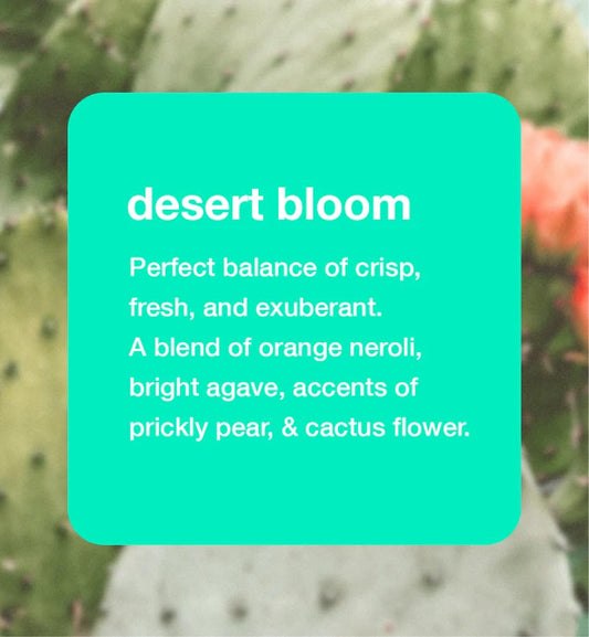 HUME SUPERNATURAL Desert Bloom bottle pump close-up for easy use.