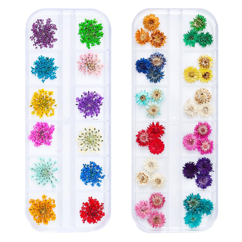 iFancer dried flowers for nail art – vibrant petals for resin designs