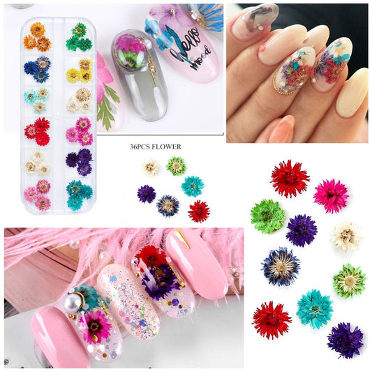 iFancer pressed dry flowers close-up – detailed texture for 3D nail accents