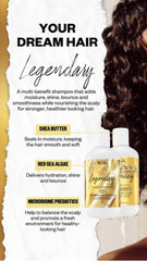 IGK Legendary Dream Hair Shampoo bottle with microbiome prebiotics balances the scalp.