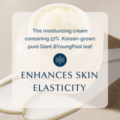 Plant stem cell concept with INCELLDERM Active Cream for resilience
