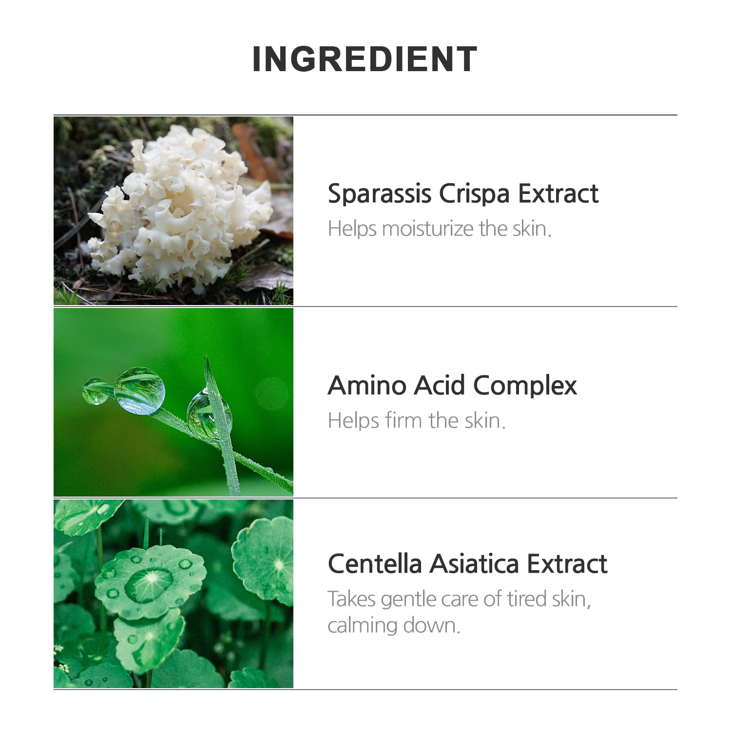 INCELLDERM Giant BYoungPool Leaf Water close-up—botanical hydration source for skin.