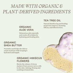 Ingreendients plant-based cleanser bottle with soft lather for sensitive skin