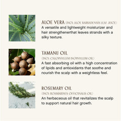 INNERSENSE Sweet Spirit Leave-In on textured hair for detangling and smoothing.