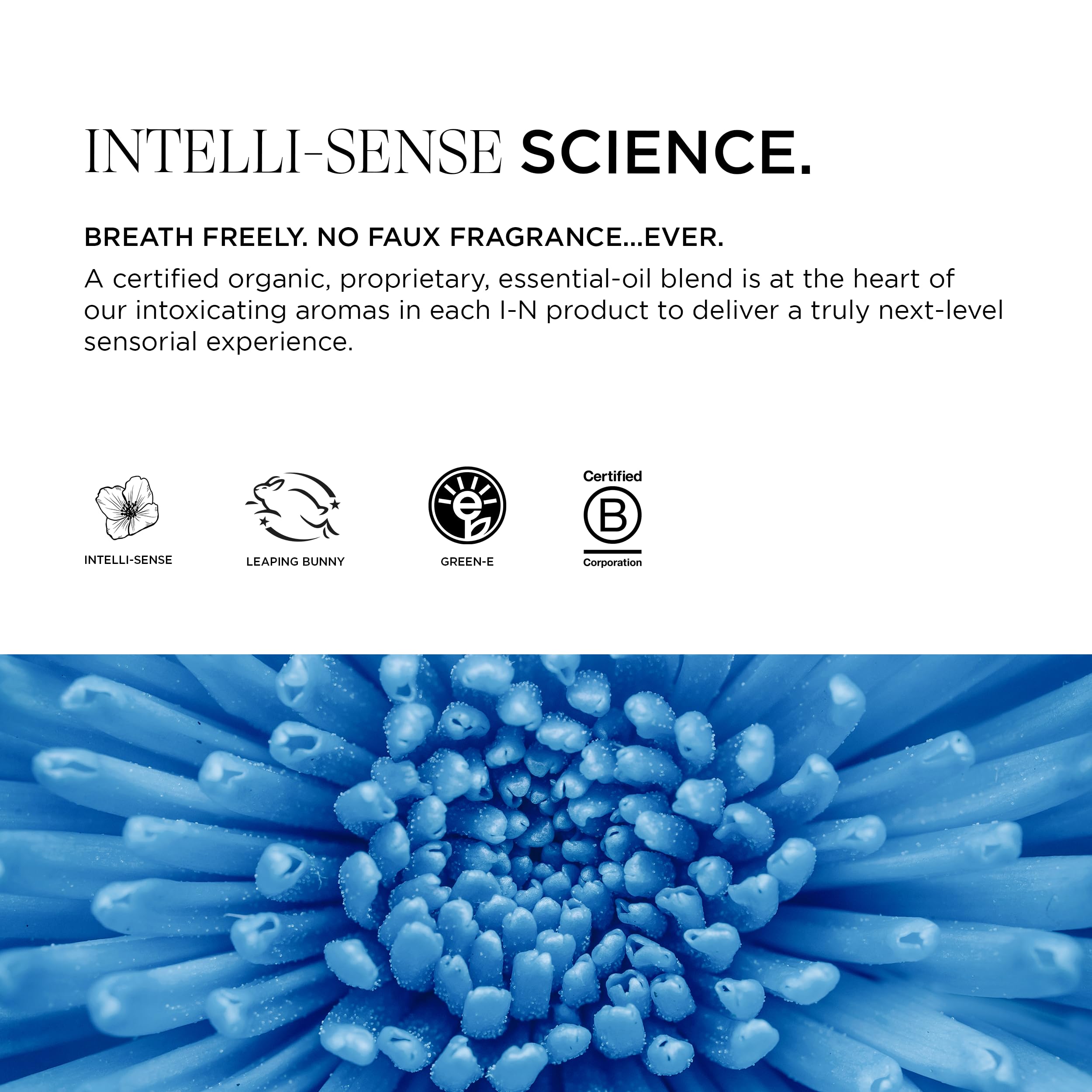 Intelligent Nutrients Tousled Texture Matte Paste essential oil aroma offers a refreshing sensory experience