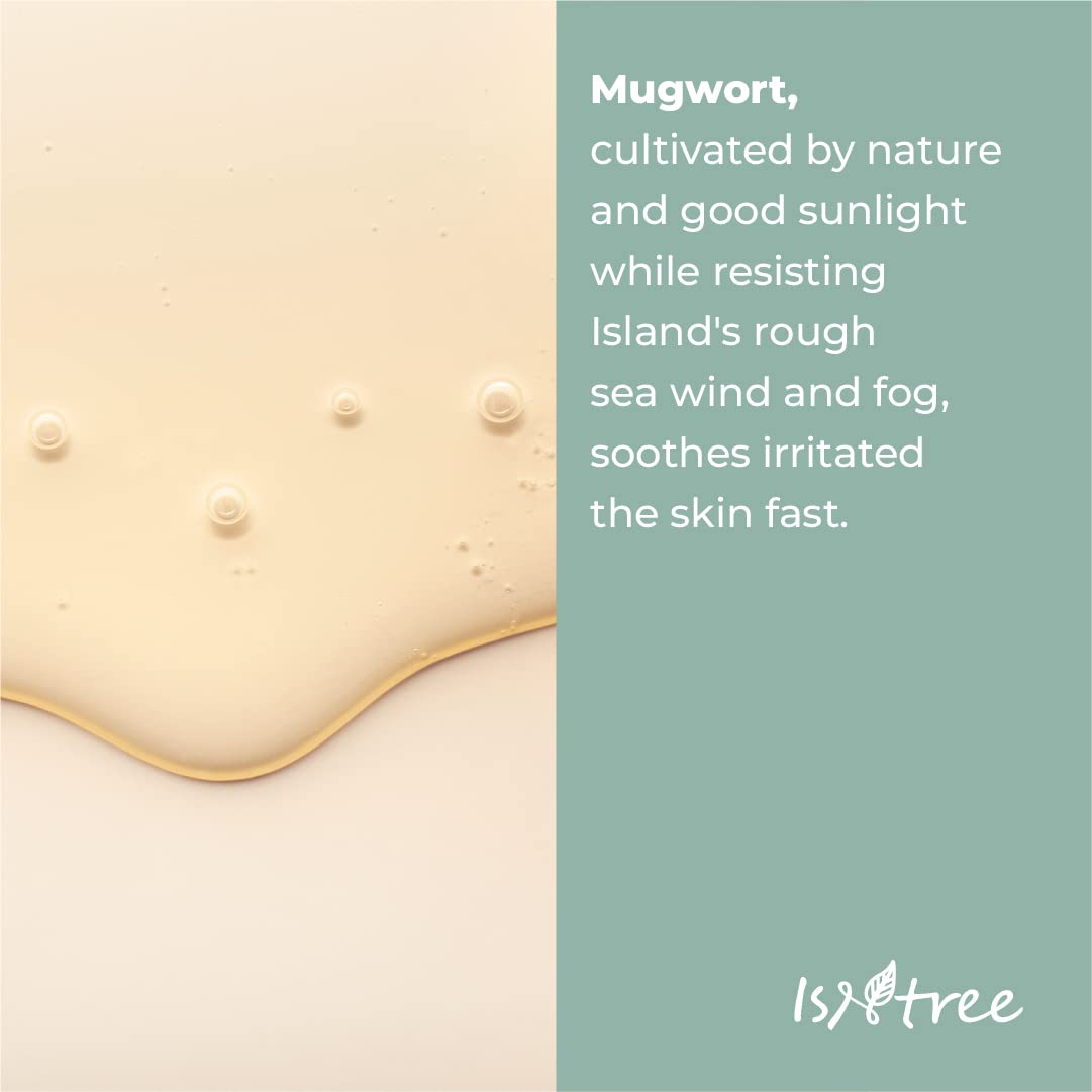 IsNtree Mugwort Calming Ampoule 50ml label close-up shows premium ingredients