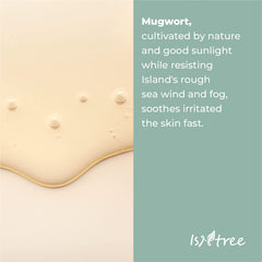 IsNtree Mugwort Calming Ampoule 50ml label close-up shows premium ingredients
