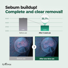IsNtree Mugwort non-pore-clogging formula supports clearer pores
