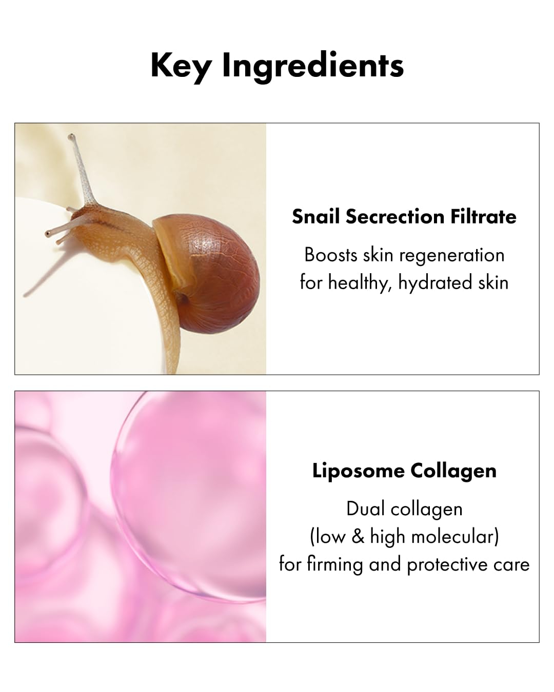 Chestnut shell extract element in It'S SKIN snail collagen cream