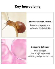 Chestnut shell extract element in It'S SKIN snail collagen cream