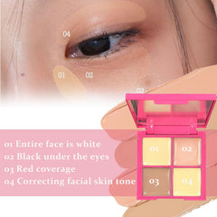 IWAWA concealer application with brush blending for natural finish