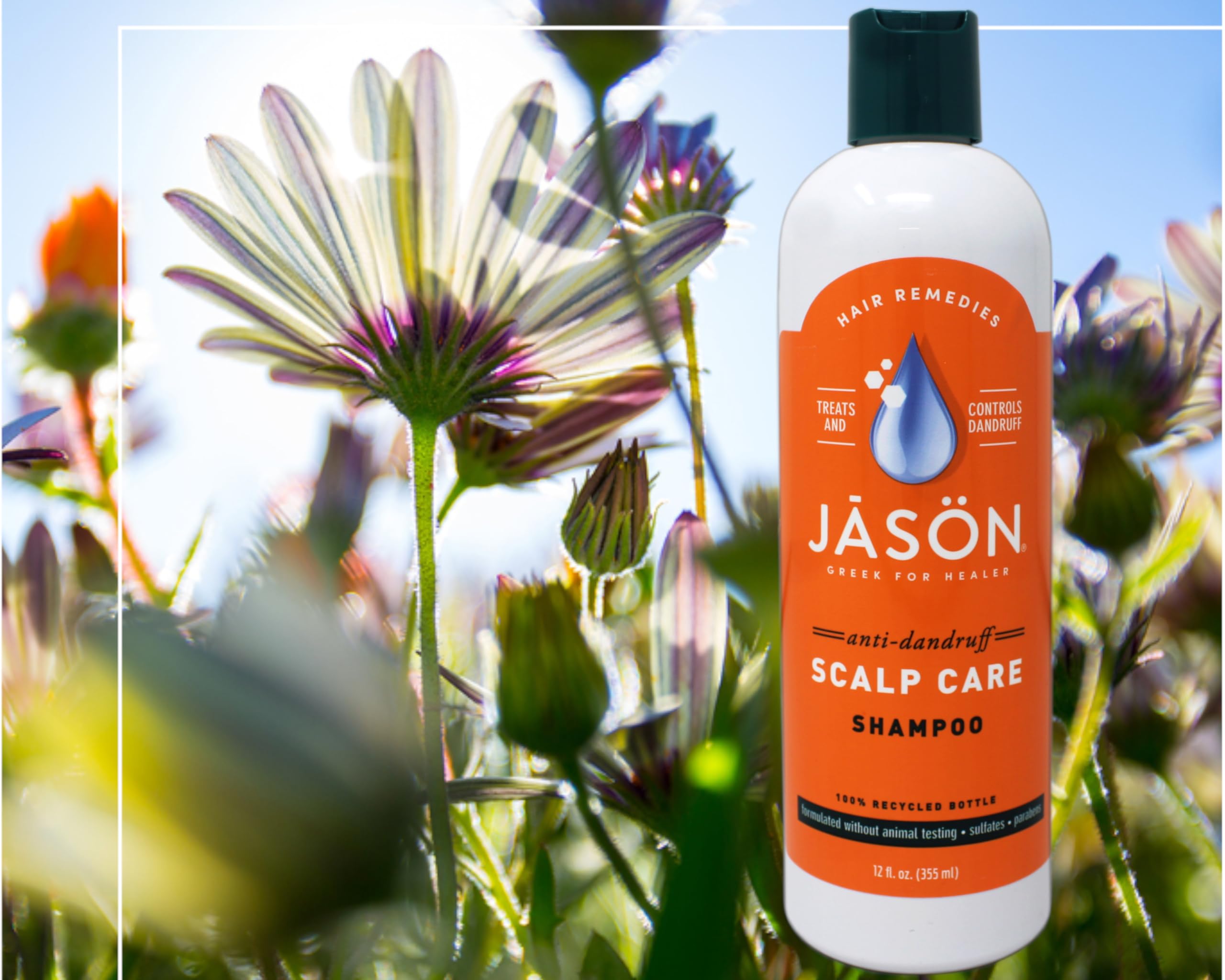 Jason Dandruff Relief shampoo pack of two for convenient maintenance.
