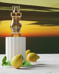 Packaging of Balcon Mediterraneen ready for gifting or display
