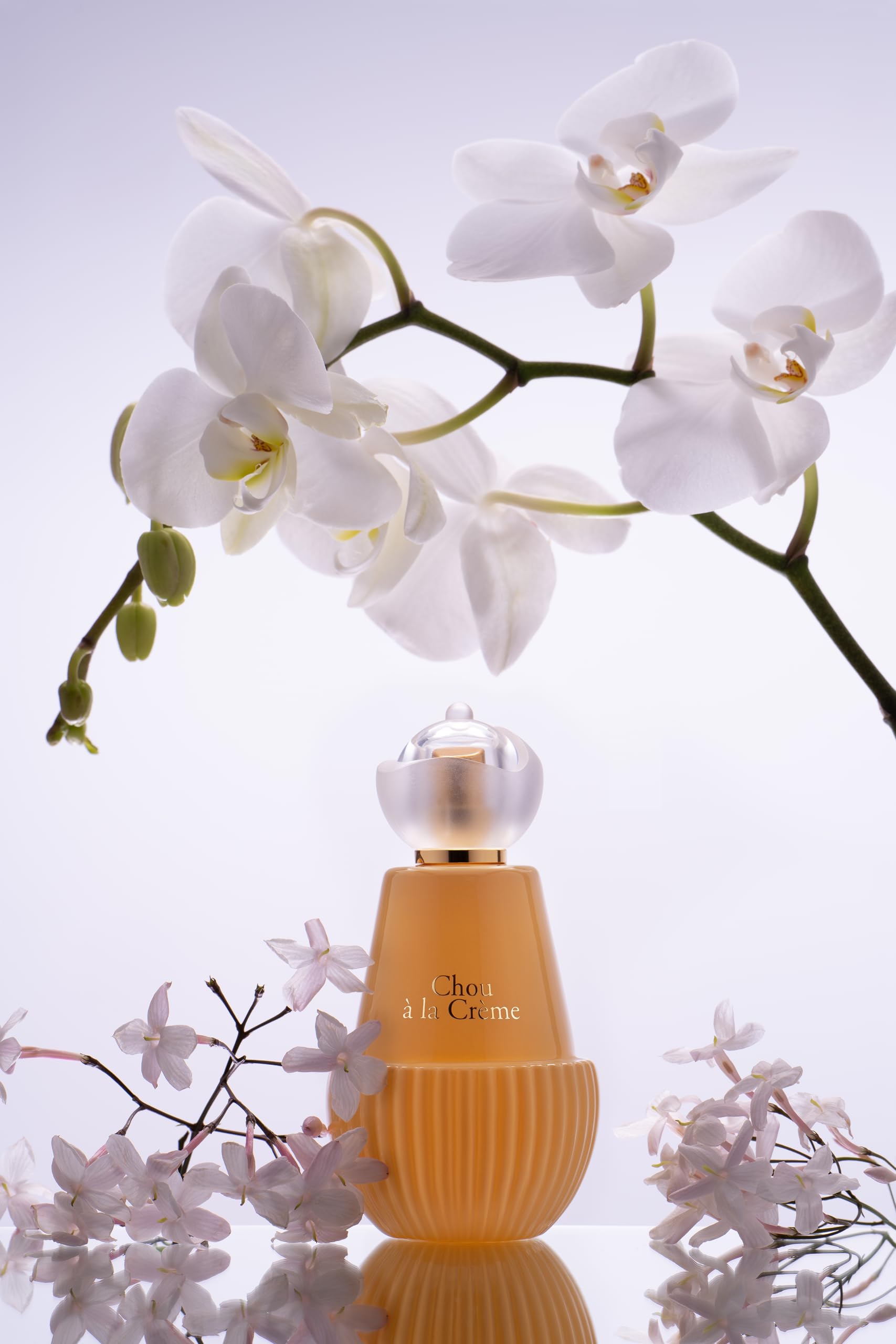 Jeanne Arthes Grasse-made heritage highlights French fragrance craftsmanship.