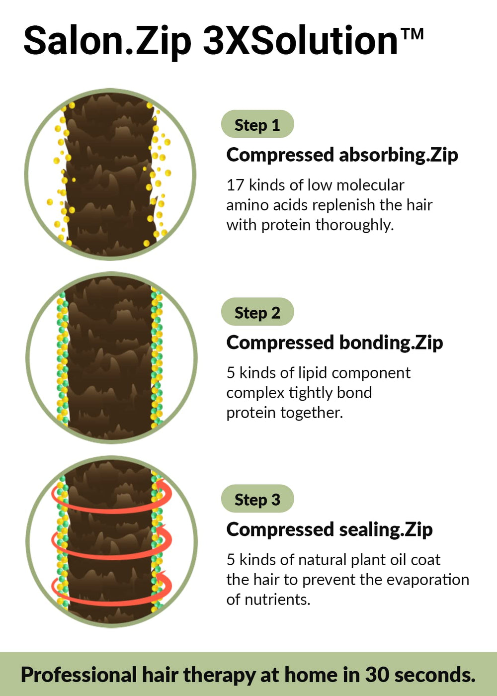 Graphic illustrating Vita-Charging Complex with vitamins B5, B6, and Biotin.