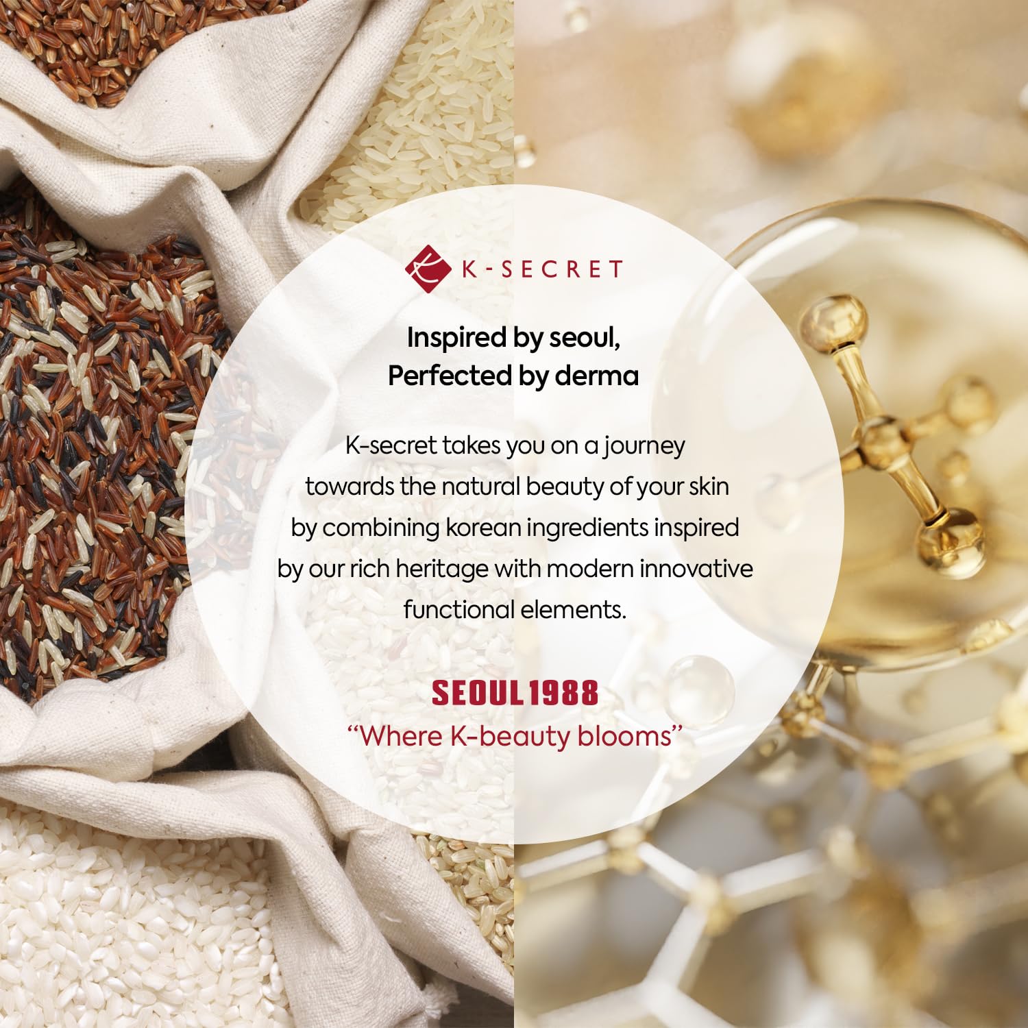 Close-up of ingredients featuring black ginseng extract