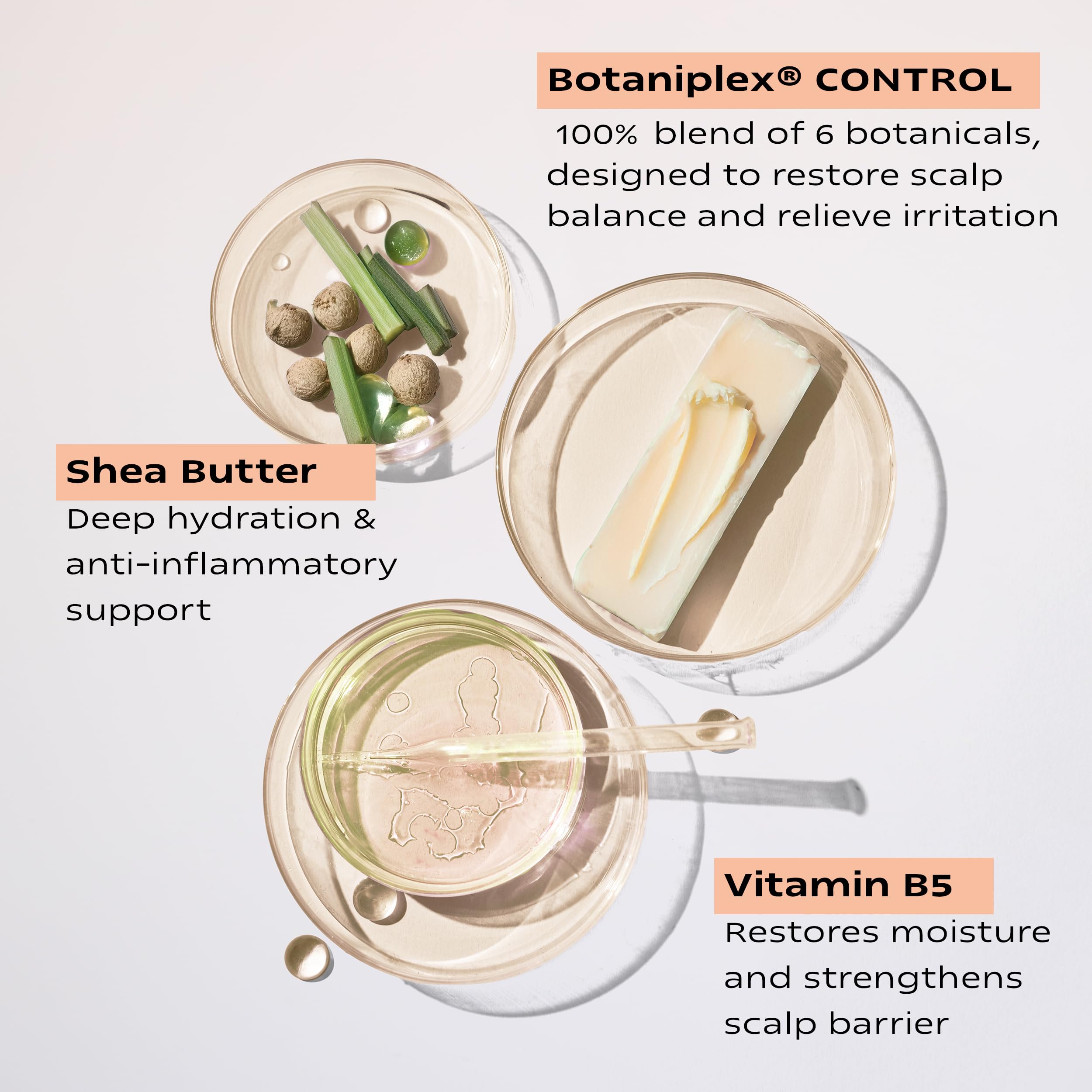 KAMEDIS Botanical-blend Soap Nut Indigo Rhubarb highlights nourishing ingredients for scalp balance.