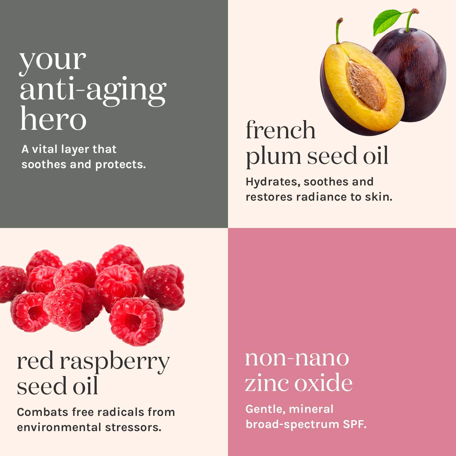 Kari Gran ingredient blend of raspberry seed, plum, and macadamia oils.