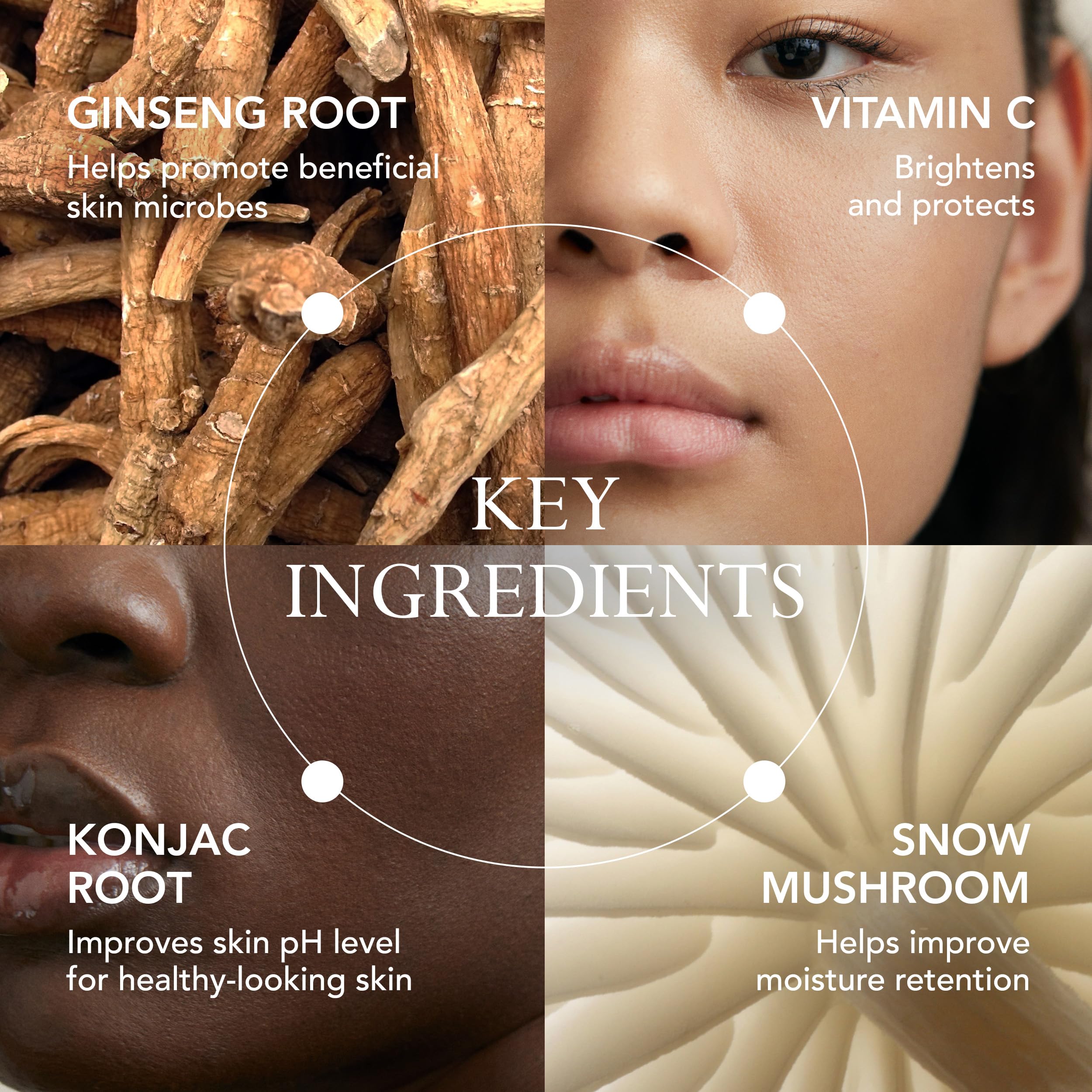 KAT BURKI VitaBiome konjac root ingredient close-up.