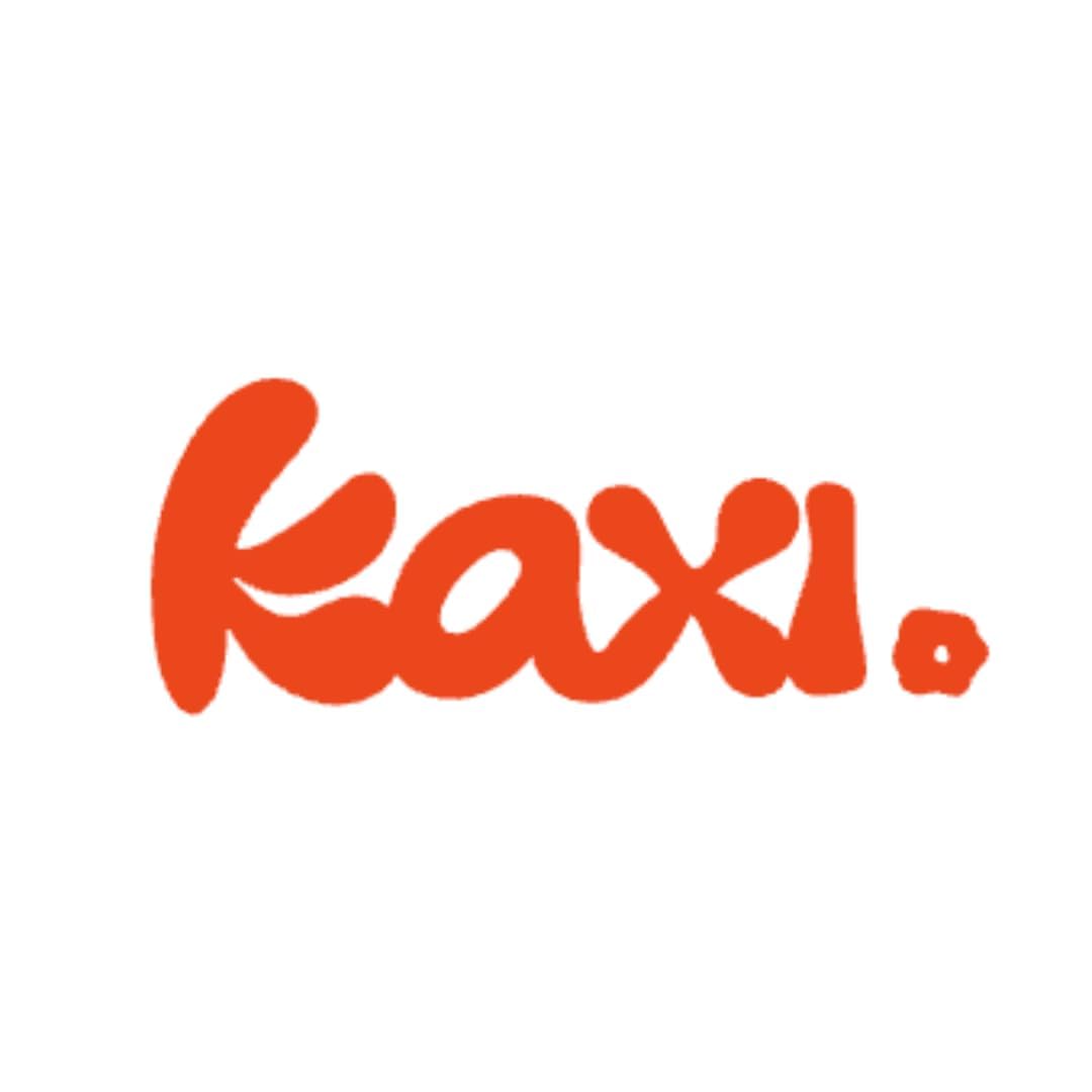 KAXI Hold Everything Midi clip keeps hair in place while you move.