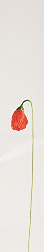 Kenzo Flower by Kenzo spray nozzle close-up, easy to apply.
