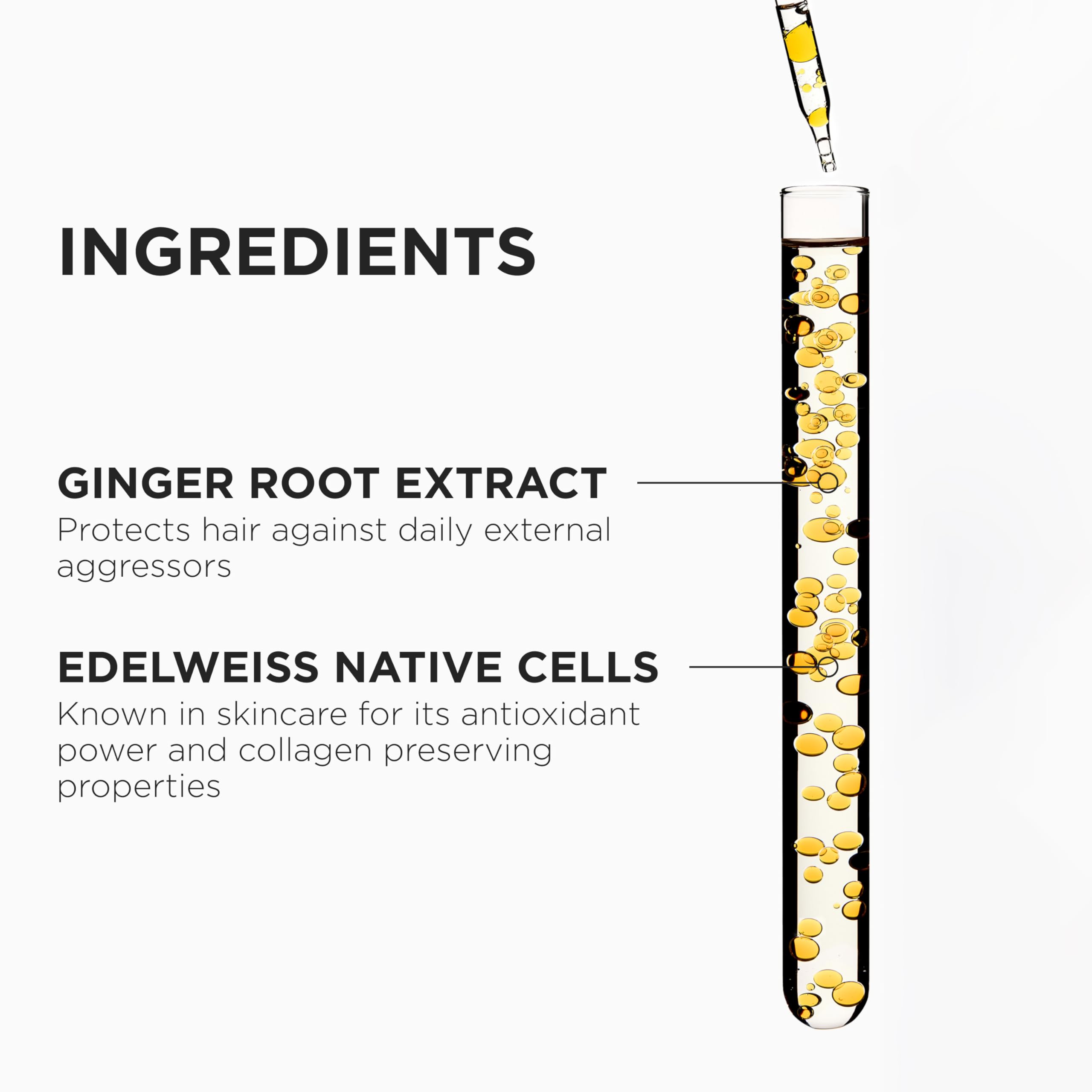 Kerastase Genesis Renforcateur ingredients image highlights edelweiss and ginger for added strength.