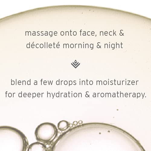 Kerstin Florian Neroli oil ingredients showcasing meadowfoam, argan, and jojoba oils.